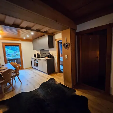 Gg Haus Zillertal Apartman Finkenberg